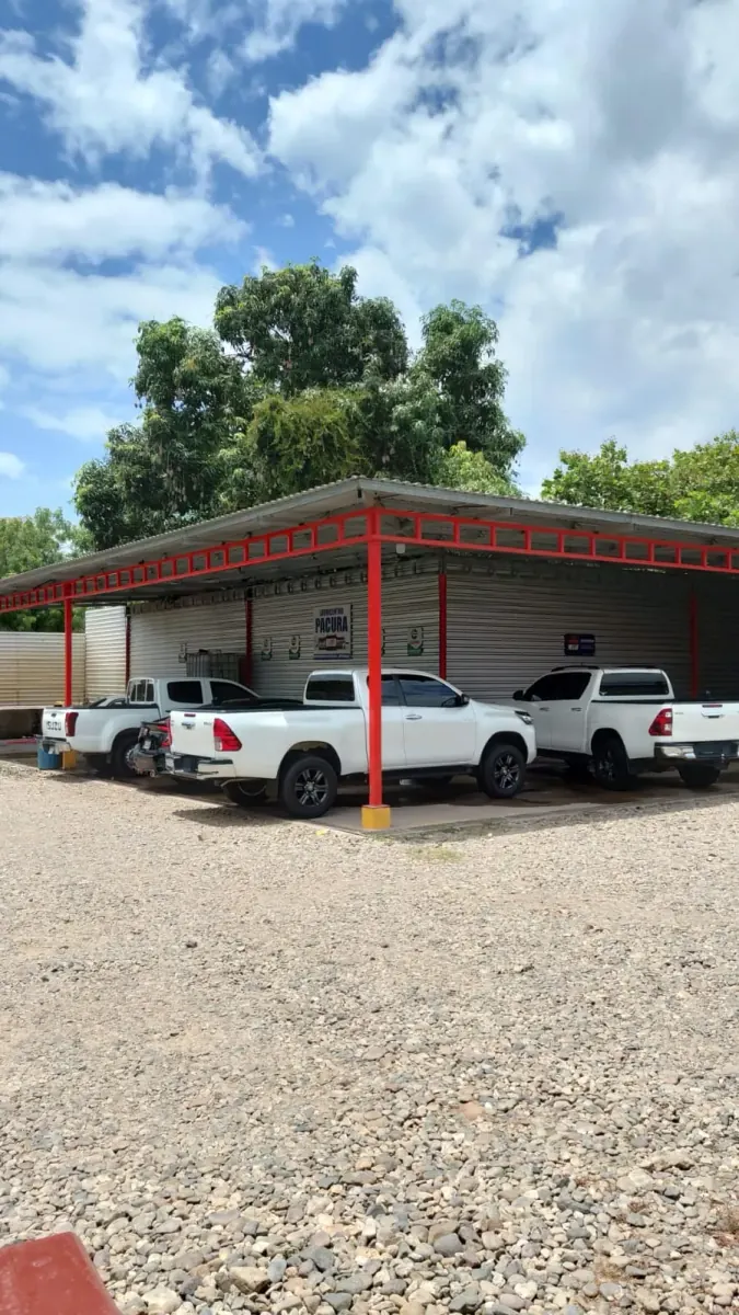 Pick-ups recién lavadas